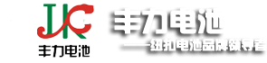 佛山市南海丰力电池有限公司